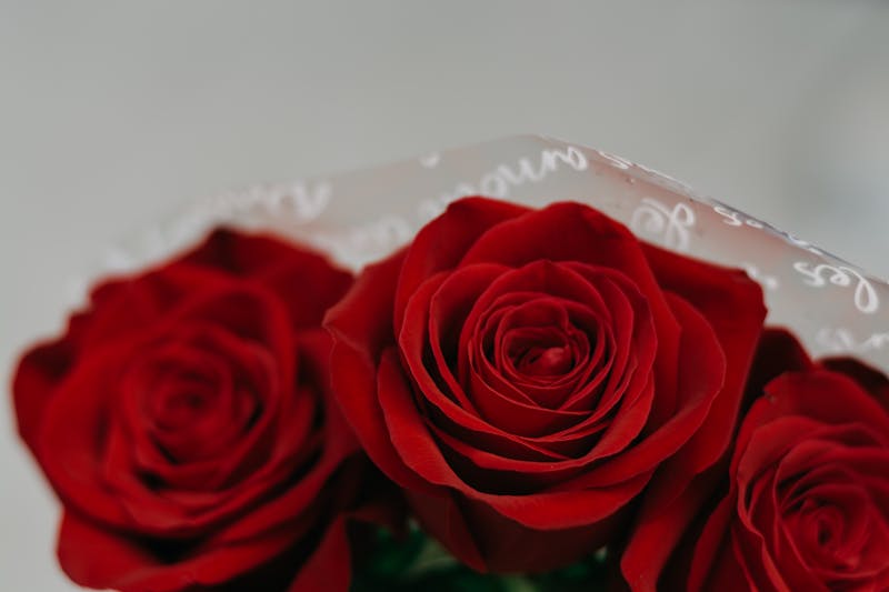 Ramo de rosas rojas interflora — 12 rosas frescas