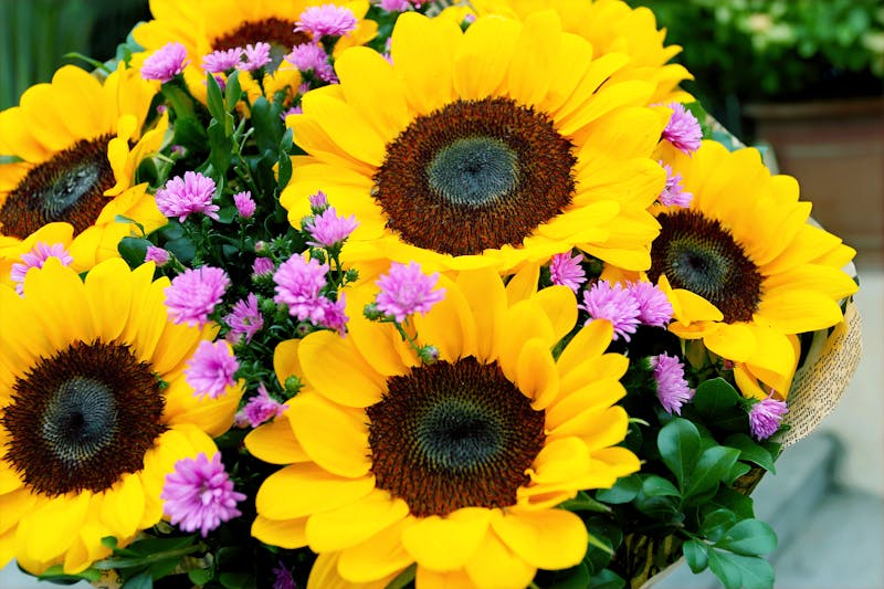 Ramo silvestre interflora — flores de campo coloridas